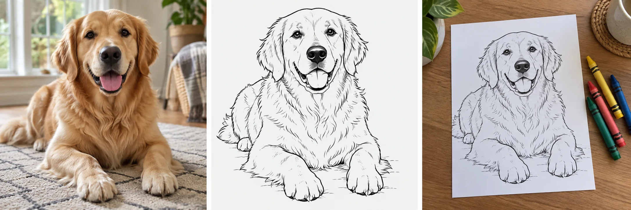 Ejemplo en tres paneles de una foto de mascota, una página simplificada para colorear y el resultado impreso